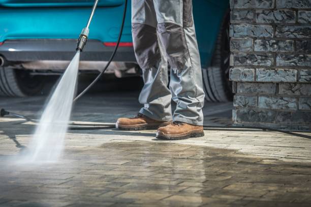 Best Driveway Pressure Washing  in Viera East, FL