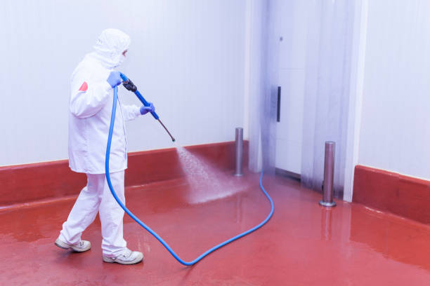 Best Post-Construction Pressure Washing  in Viera East, FL